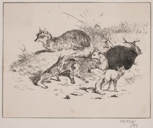 La volpe da Johan Adolph Kittendorff
