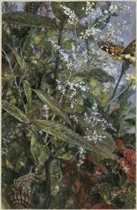  da Adolph Menzel