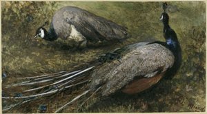  da Adolph Menzel