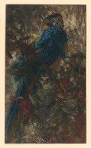  da Adolph Menzel