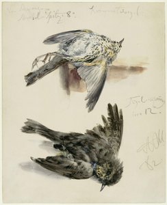  da Adolph Menzel