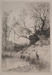 Uno stagno, 1867