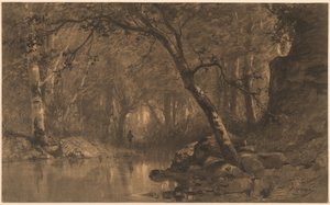 Un Fiume nel Bosco con un Pescatore