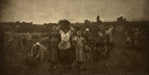 Chiamata a raccolta degli spigolatori da Adolphe Braun