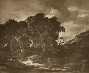 Pittura di paesaggio di Ruysdael da Adolphe Braun