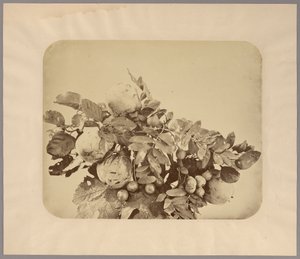 Natura morta con mele cotogne e bacche da Adolphe Braun