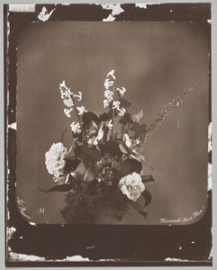 Senza titolo (composizione floreale) da Adolphe Braun
