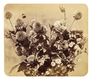 Senza titolo, c. 1860
