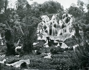 Cascate del Roaring River, Giamaica, c1905 da Adolphe Duperly and Son