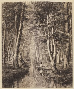 Fiume nel Bosco da Adolphe Martial Potemont