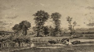 Cavalli al pascolo da Adolphe Mouilleron