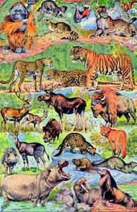 Illustrazione di animali selvatici c.1923 da Adolphe Philippe Millot
