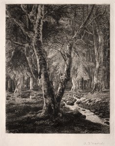 Foresta di Pierrefonds da Adolphe Théodore Jules Martial Potémont