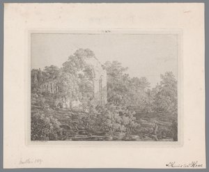 Veduta delle rovine del Castello de Haar