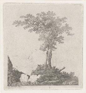 Due alberi da Adriaan Jacob Willem van Dielen