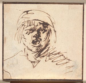 Testa di un ragazzo urlante da Adriaen Brouwer