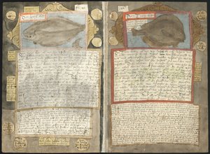 Visboeck di Adriaen Coenen da Adriaen Coenen