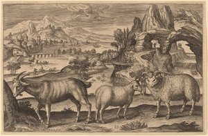 Una capra, una pecora e un ariete da Adriaen Collaert