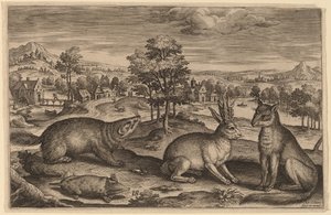 Una talpa, un tasso, una lepre cornuta e una volpe da Adriaen Collaert