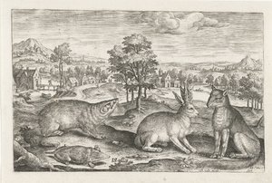Animali del bosco da Adriaen Collaert