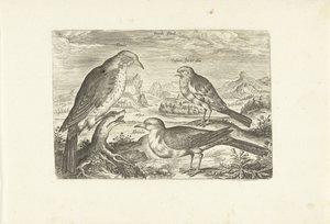 Tre uccelli in un paesaggio