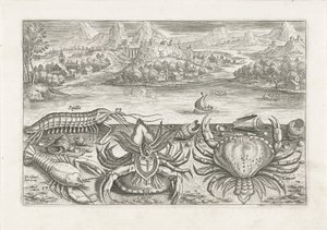 Alcuni crostacei sulla spiaggia (Vissen, Piscivm vivae icones) da Adriaen Collaert