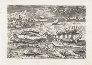 Pesci e un tricheco sulla spiaggia (serie Icone di pesci vivi) da Adriaen Collaert