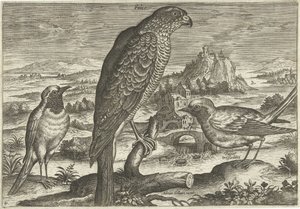 Alcuni uccelli in un paesaggio