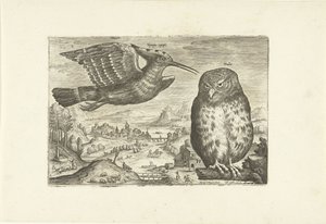 Alcuni uccelli in un paesaggio