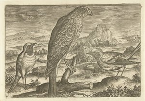 Alcuni uccelli in un paesaggio (serie Uccelli) da Adriaen Collaert