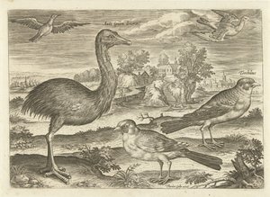 Alcuni uccelli in un paesaggio (Uccelli, Avivm vivae)