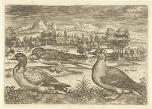 Alcuni uccelli in un paesaggio da Adriaen Collaert