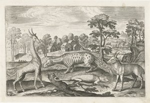 Animali esotici da Adriaen Collaert