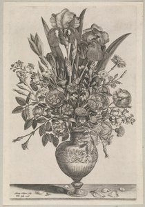 Composizione floreale con iris da Adriaen Collaert