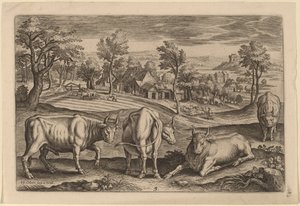 Quattro tori da Adriaen Collaert