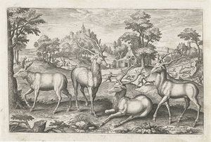 Cervi (Animali quadrupedi)