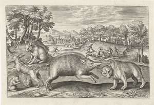 Selvaggina da Adriaen Collaert