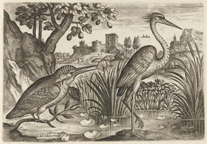  da Adriaen Collaert