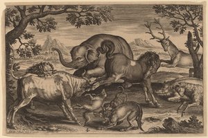 Leone, Toro, Volpe, Lupo, Cane, Cinghiale, Capra, Cavallo, Elefante e Cervo da Adriaen Collaert