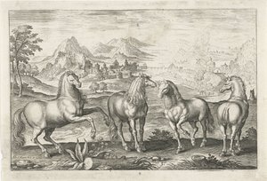 Cavalli da Adriaen Collaert