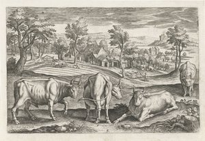 Runderen da Adriaen Collaert