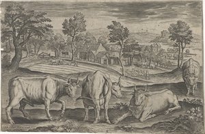 Bovini Animali quadrupedi Animalivm Qvaddrvpedvm da Adriaen Collaert
