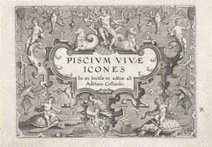 Frontespizio con creature marine come ornamenti da Adriaen Collaert