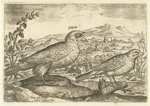Due uccelli in un paesaggio