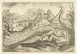 Due uccelli in un paesaggio (Avivm Vivae, Vogels) da Adriaen Collaert