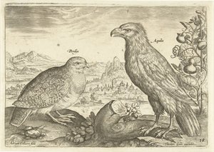 Due uccelli in un paesaggio (Avivm Vivae) (Uccelli) da Adriaen Collaert