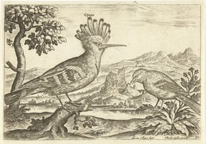 Due uccelli in un paesaggio da Adriaen Collaert