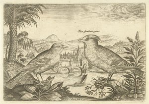 Due uccelli in un paesaggio Uccelli (titolo della serie) Avivm Vivae (titolo della serie)