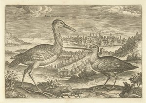 Due uccelli in un paesaggio (serie: Uccelli) da Adriaen Collaert