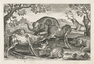 Animali combattenti, Quadrupedi (titolo della serie), Animalivm Qvaddrvpedvm (titolo della serie) da Adriaen Collaert